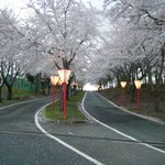 尾花沢　徳良湖まつり　出展します